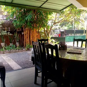 Steur Negombo